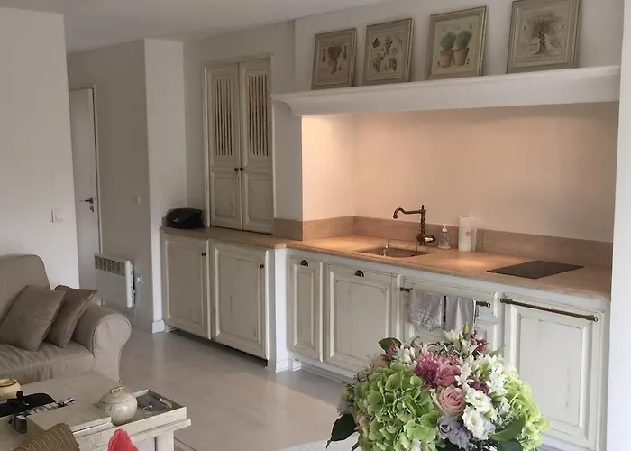 High Standing App , Sea Front Apartment Gassin